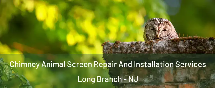  Chimney Animal Screen Repair And Installation Services Long Branch - NJ