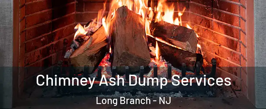  Chimney Ash Dump Services Long Branch - NJ