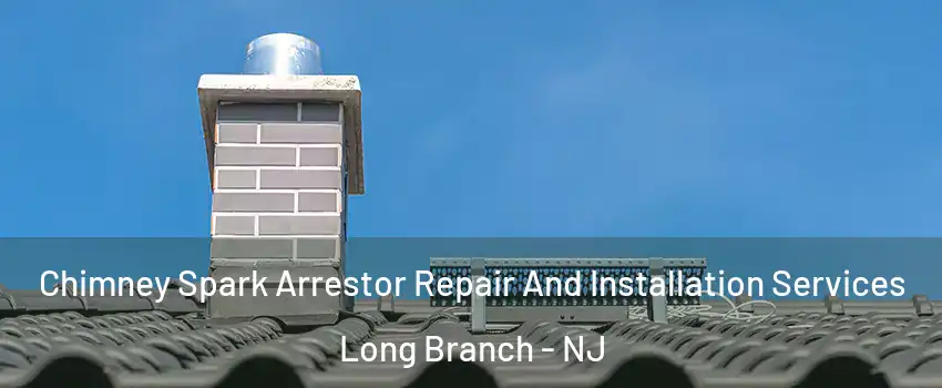  Chimney Spark Arrestor Repair And Installation Services Long Branch - NJ