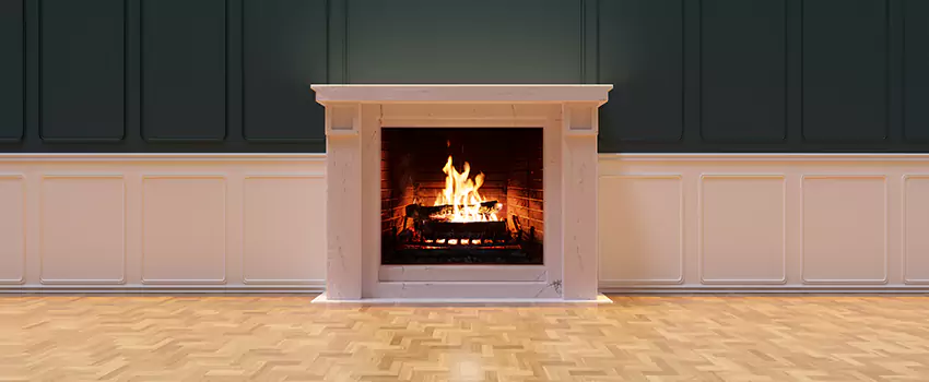 Napoleon Electric Fireplaces Inspection Service in Long Branch, New Jersey