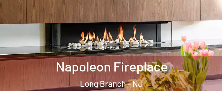  Napoleon Fireplace Long Branch - NJ